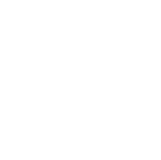 Solidariedade Vertical Logo